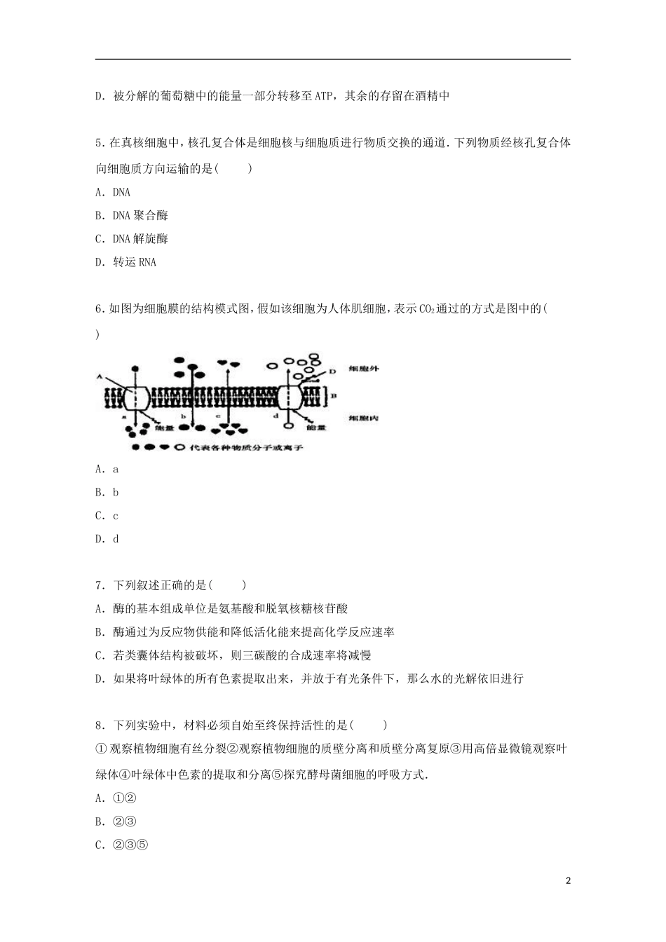 浙江省金华市东阳二中2015届高三生物上学期10月月考试卷含解析_第2页