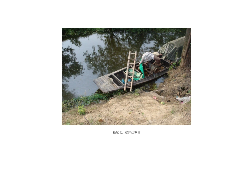 2015年高中地理24节气摄影素材9芒种_第3页