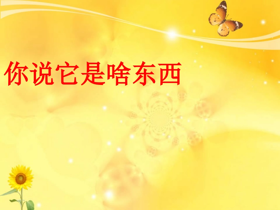 《你说它是啥东西》课件_第1页
