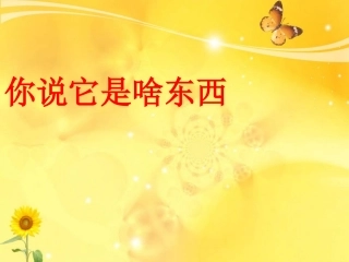 《你说它是啥东西》课件