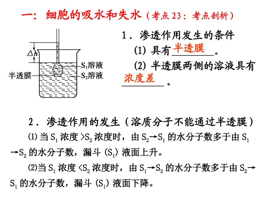 物质跨膜运输的实例_第3页