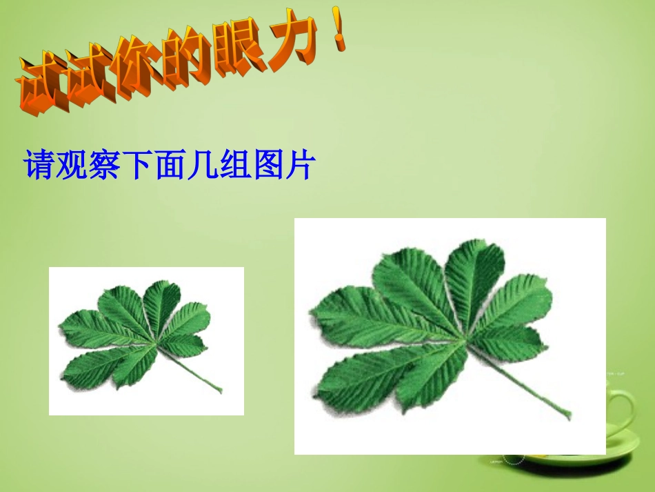 新疆哈密市第九中学九年级数学下册27.1图形的相似课件新人教版_第2页
