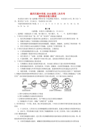 重庆市巴蜀中学2016届高三理综上学期10月月考试题