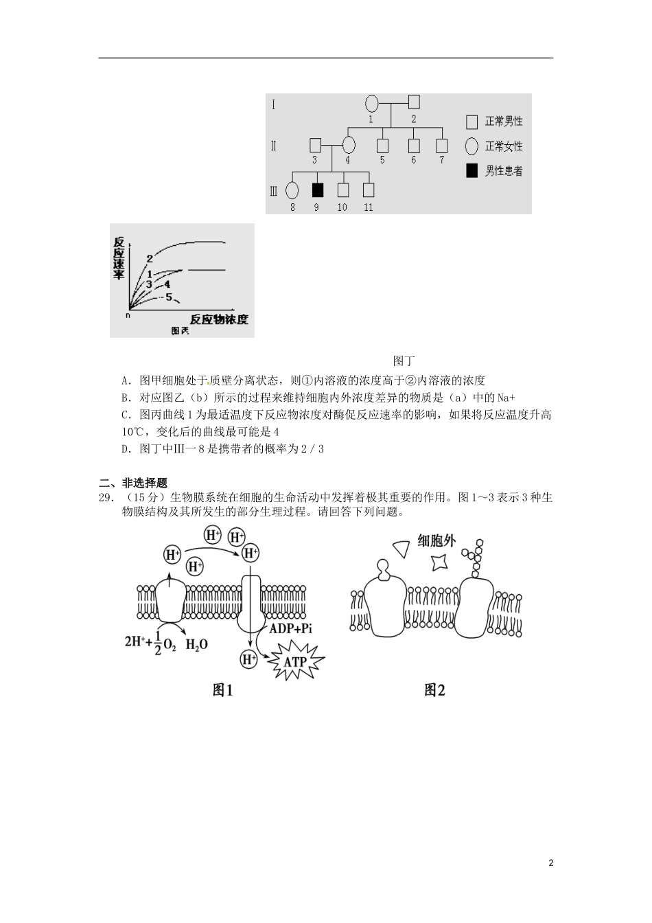 四川省乐至中学2016届高三生物上学期9月月考试题_第2页