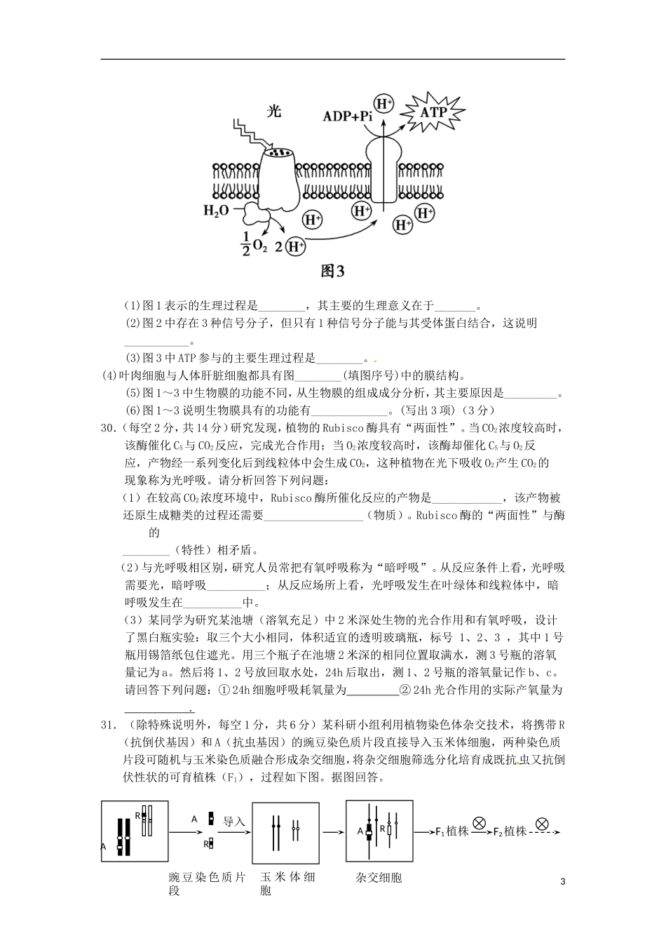 四川省乐至中学2016届高三生物上学期9月月考试题_第3页