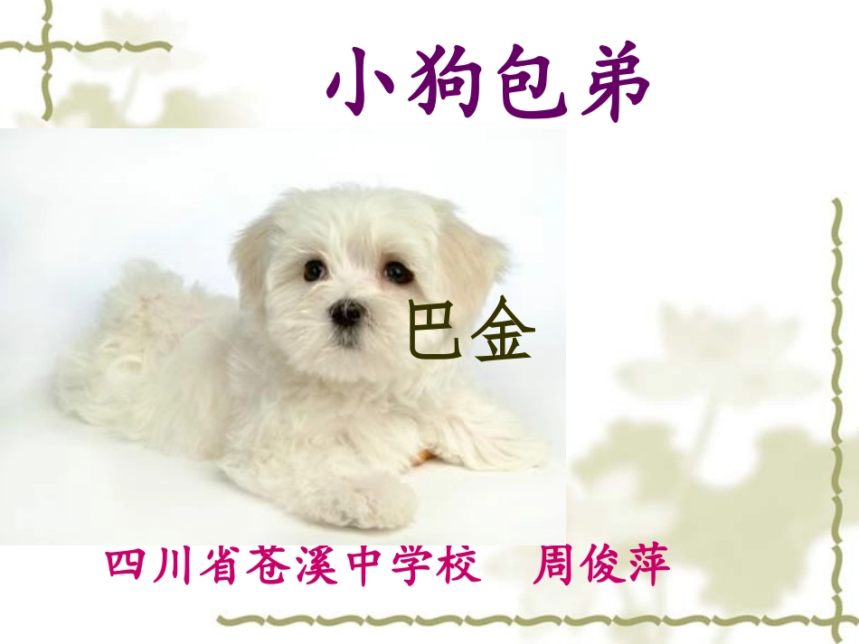 小狗包弟PPT_第1页