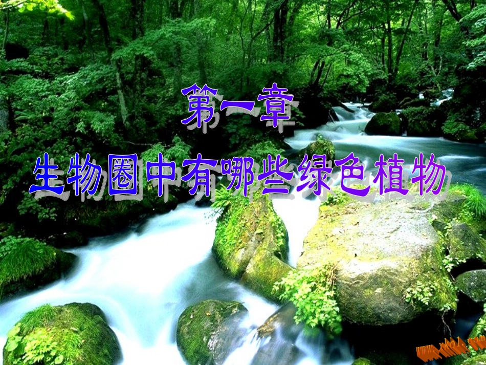 第一节藻类苔藓和蕨类植物课件新人教版_第1页