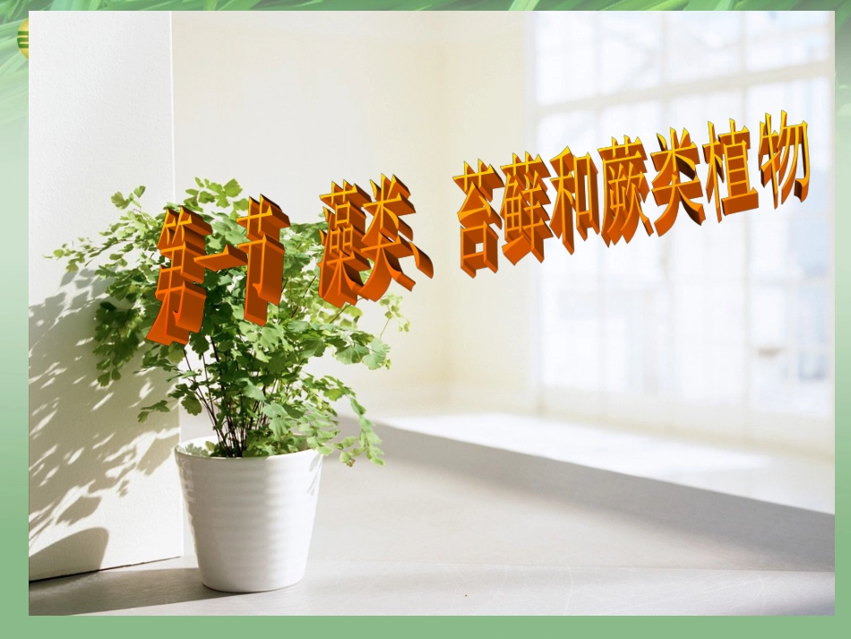 第一节藻类苔藓和蕨类植物课件新人教版_第2页