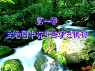 第一节藻类苔藓和蕨类植物课件新人教版