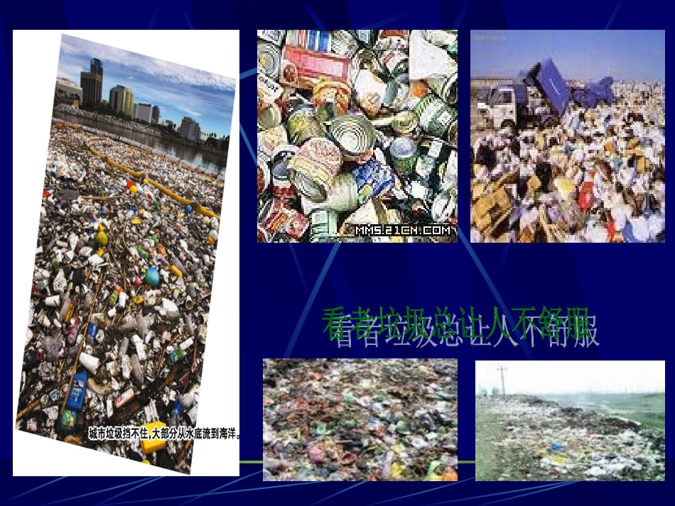 分类和回收利用_第2页