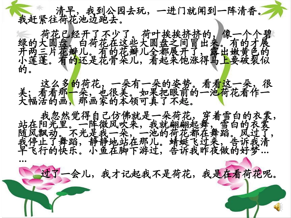 《荷花》PPT修改_第2页