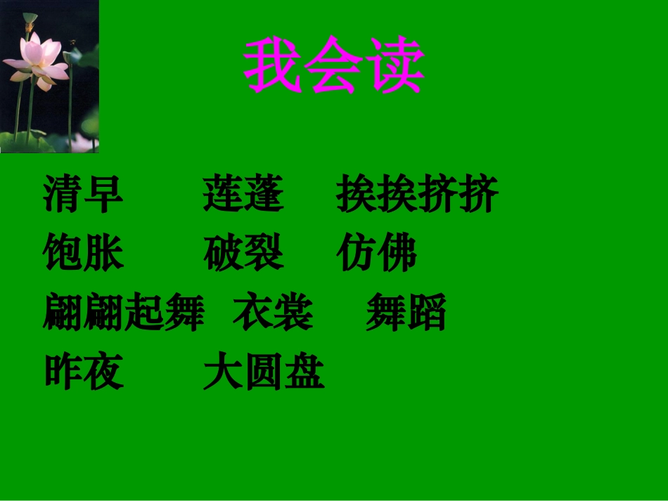 《荷花》PPT修改_第3页