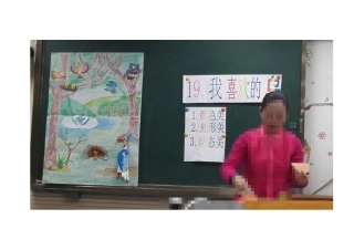 我喜欢的鸟板书
