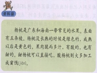 《画杨桃》教学课件