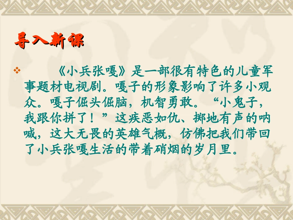 《芦花荡》公开课课件_第2页