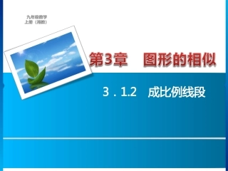 ．　成比例线段练习