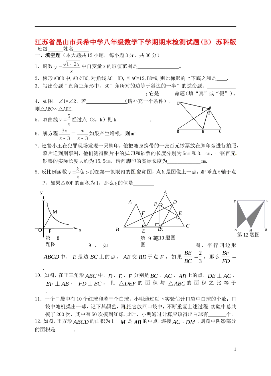 江苏省昆山市兵希中学八年级数学下学期期末检测试题（B） 苏科版_第1页