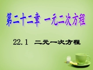 广东省惠东县教育教学研究室九年级数学上册22.1一元二次方程课件新人教版