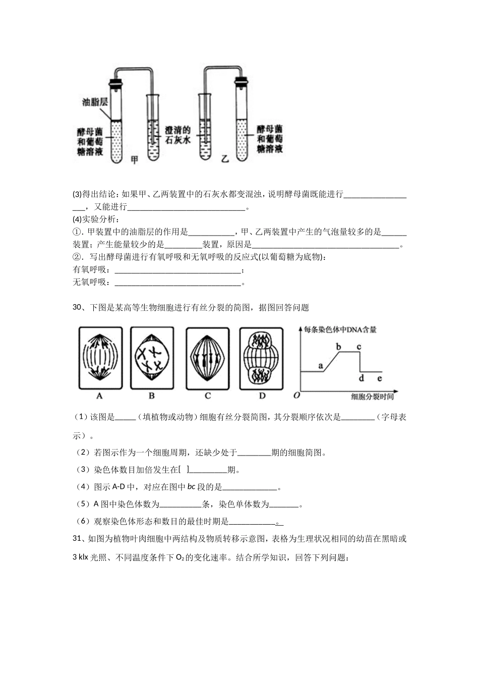 周日考试（1）_第3页