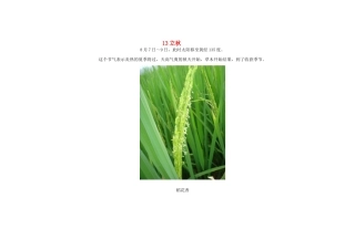 2015年高中地理24节气摄影素材13立秋