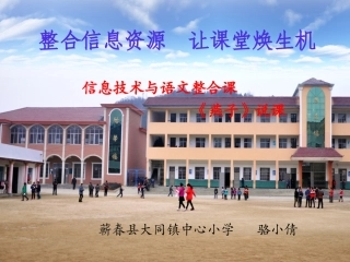 整合课燕子1