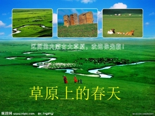 草原上的春天