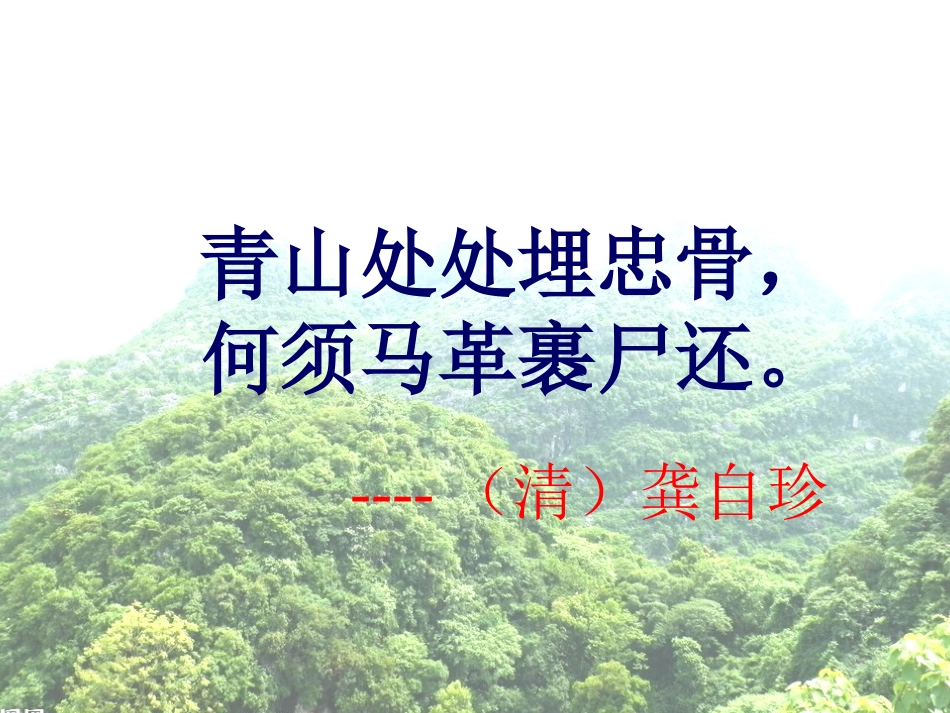 青山处处埋忠骨_第2页