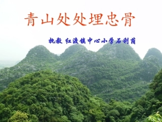 青山处处埋忠骨