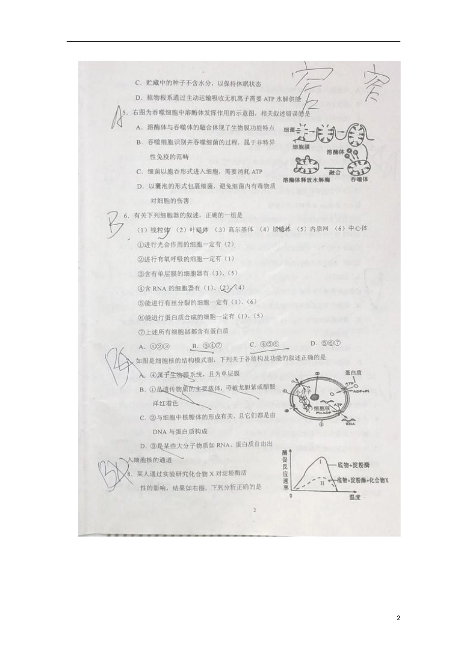 山东省临沂市第十九中学2016届高三生物上学期第二次学期检测9月月考试题扫描版_第2页