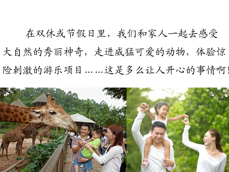 游乐设施及安全_第2页