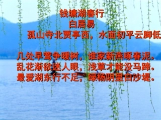 湖心亭看雪TR