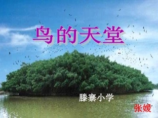 《鸟的天堂》PPT课件