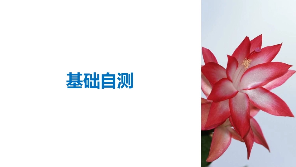 -版：（全国)必修一UnitFriendship-LearningaboutLanguage&UsingLanguage（步步高）_第3页