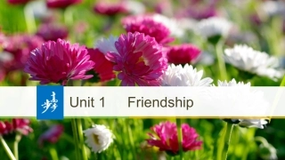 -版：（全国)必修一UnitFriendship-LearningaboutLanguage&UsingLanguage（步步高）