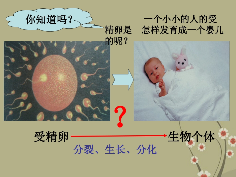 安徽省安庆市第九中学七年级生物上册《生物体的结构层次》课件 新人教版_第2页