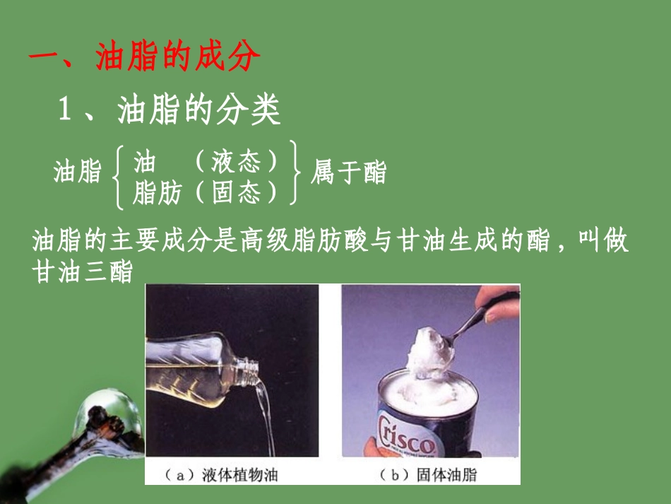 高中化学_12《_重要的体内能源——油脂》课件_新人教版选修1_第3页