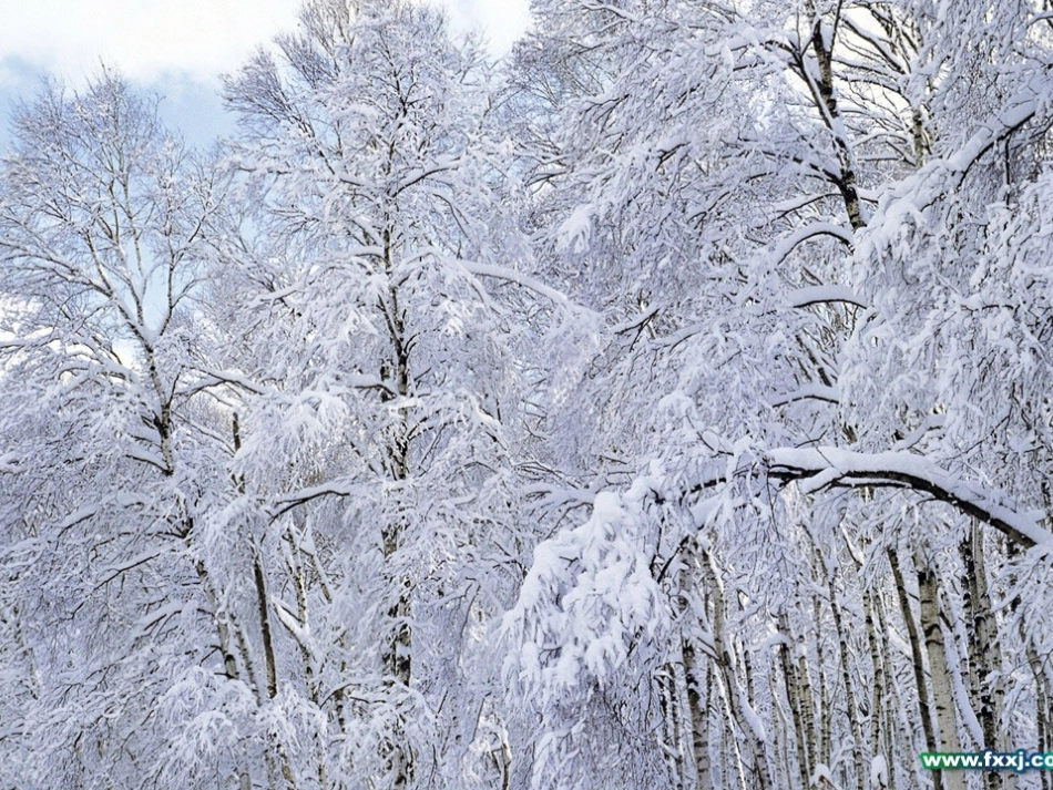 鲁迅的散文诗《雪》课件_第1页