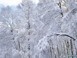 鲁迅的散文诗《雪》课件