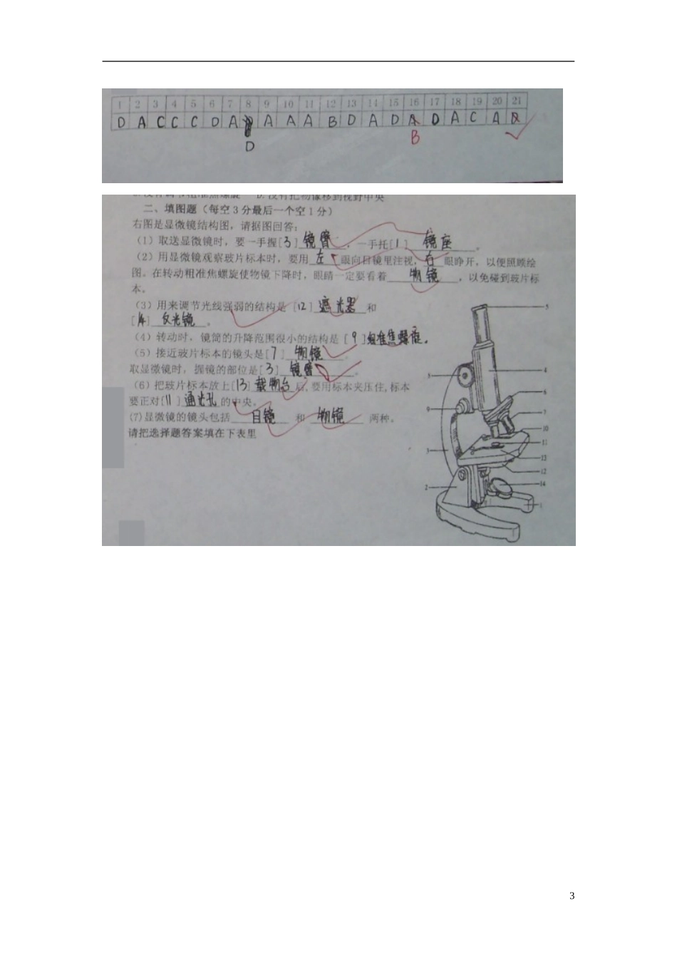 山东省诸城市树一中学2015_2016学年七年级生物上学期第一次月考试题扫描版新人教版_第3页