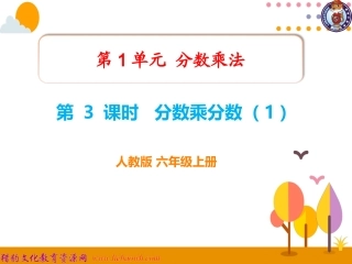 第3课时分数乘分数（1） (2)
