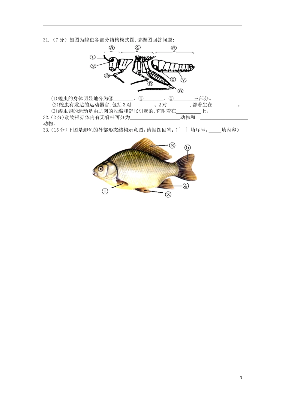 广东诗莞市石碣镇四海之星学校2015_2016学年八年级生物上学期第一次月考试题新人教版_第3页