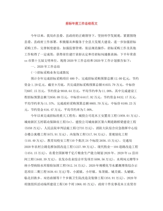 招标年度工作总结范文