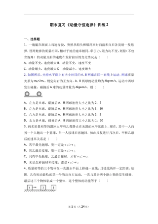 期末复习《动量守恒定律》