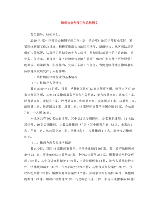 律师协会年度工作总结例文