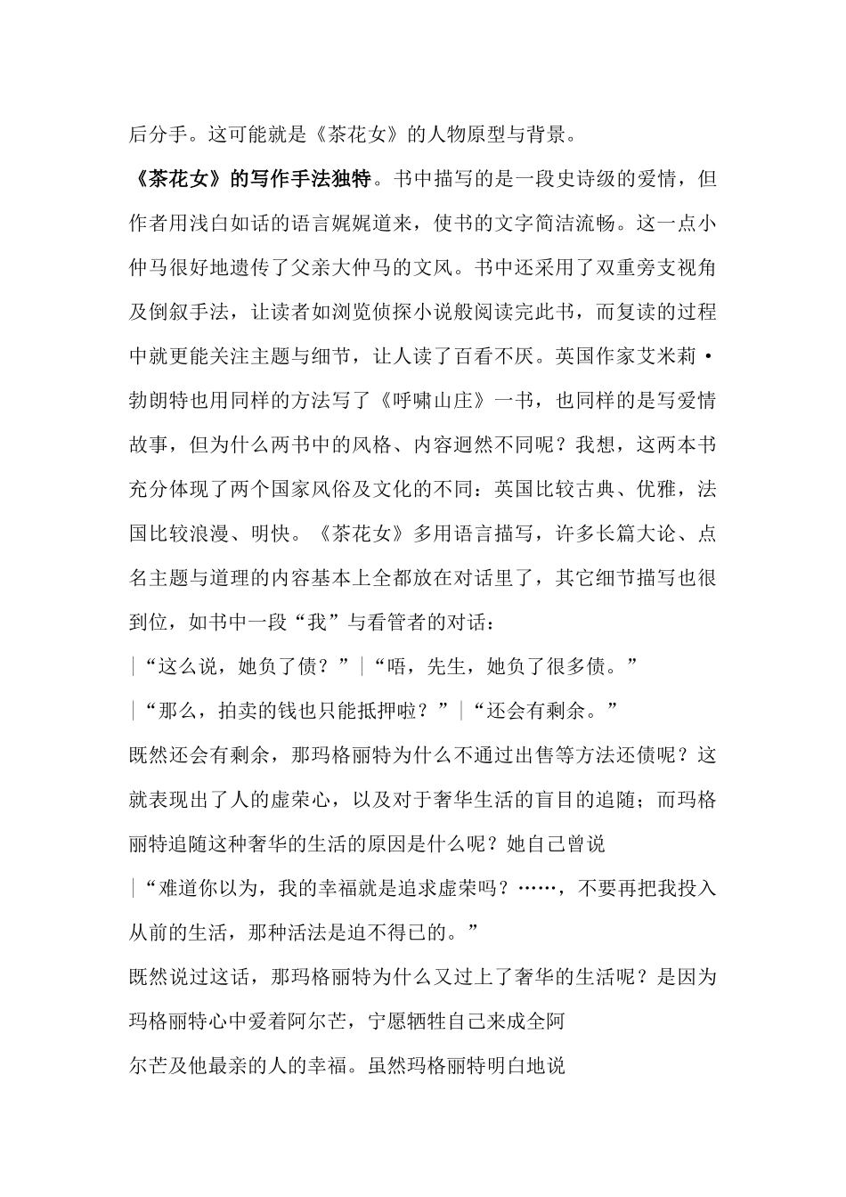 小仲马的史诗_第2页