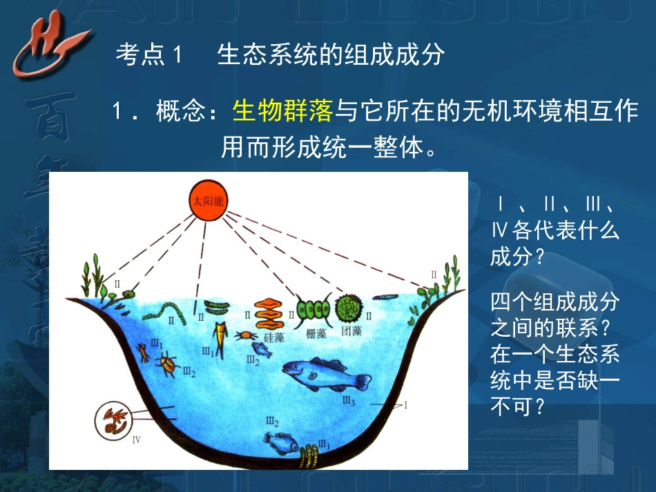 生态系统的结构_第2页