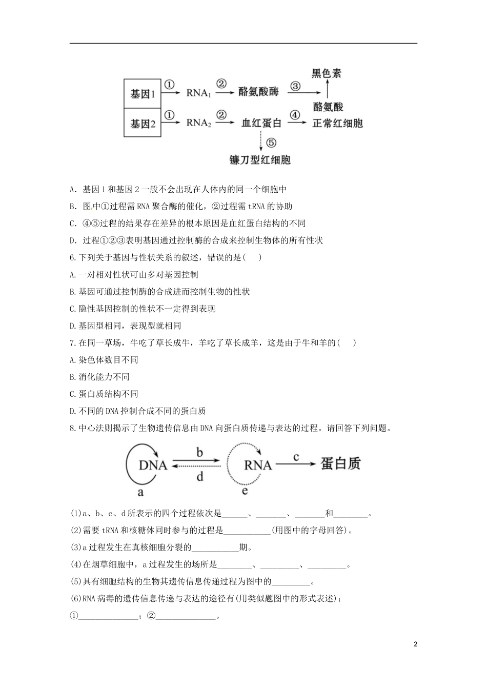 （导学讲连通）2013高中生物 基因的表达分层达标训练精品练习10（含解析）新人教版必修2_第2页