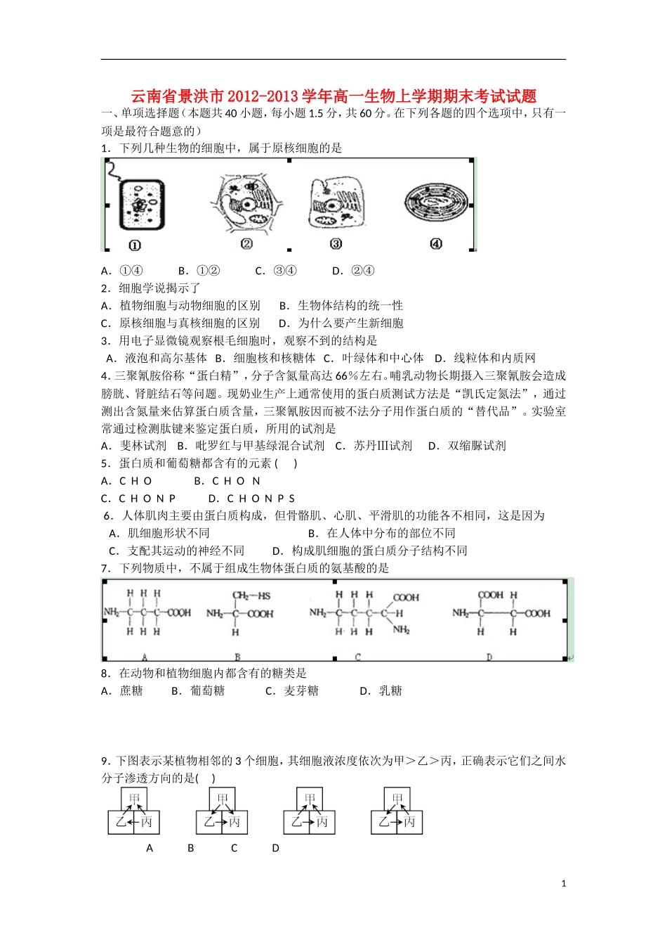 云南省景洪市2012-2013学年高一生物上学期期末考试试题（无答案）新人教版_第1页