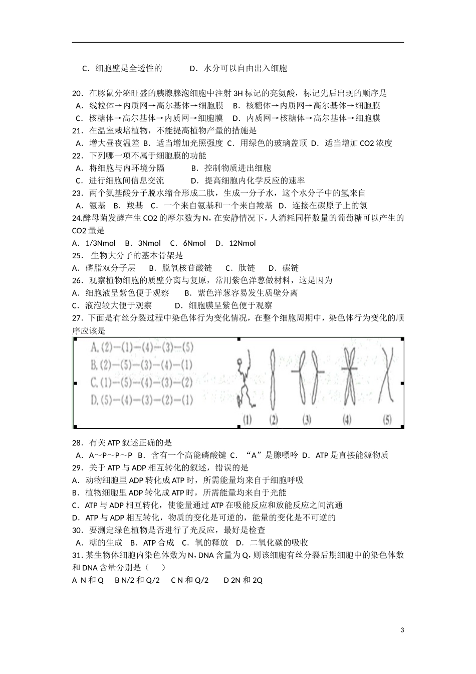 云南省景洪市2012-2013学年高一生物上学期期末考试试题（无答案）新人教版_第3页