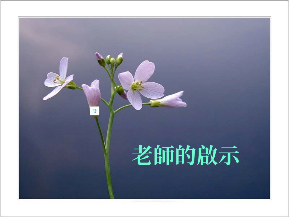 老师最好的礼物_第1页